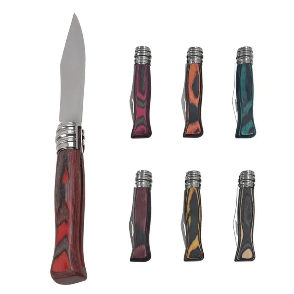 Couteau 19,5Cm Manche Couleur 