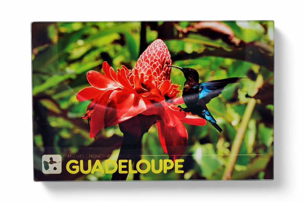 Planche à découper en verre - Rose + Colibri
