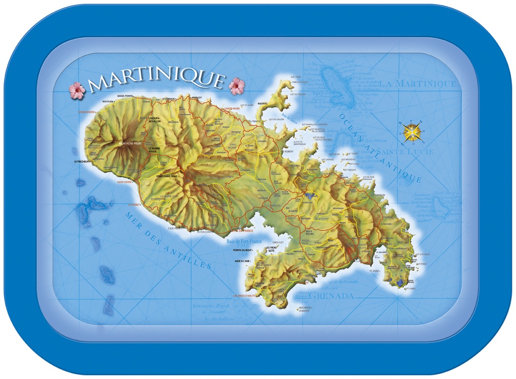 Plateau Métal Carte