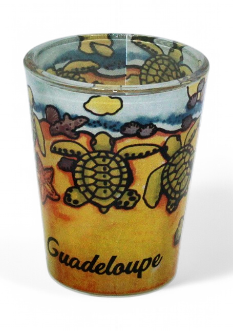 Verre Shot Transparent Bébé Tortue