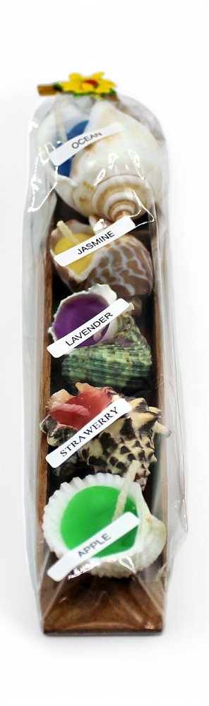 Bougies Coquillage Dans Barque