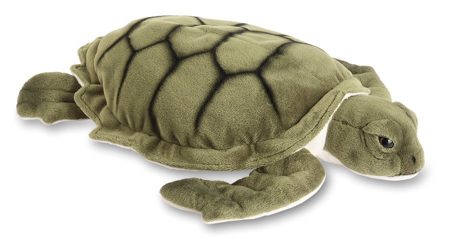 Tortue De Mer Gm
