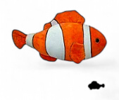 [53109] Poisson Clown