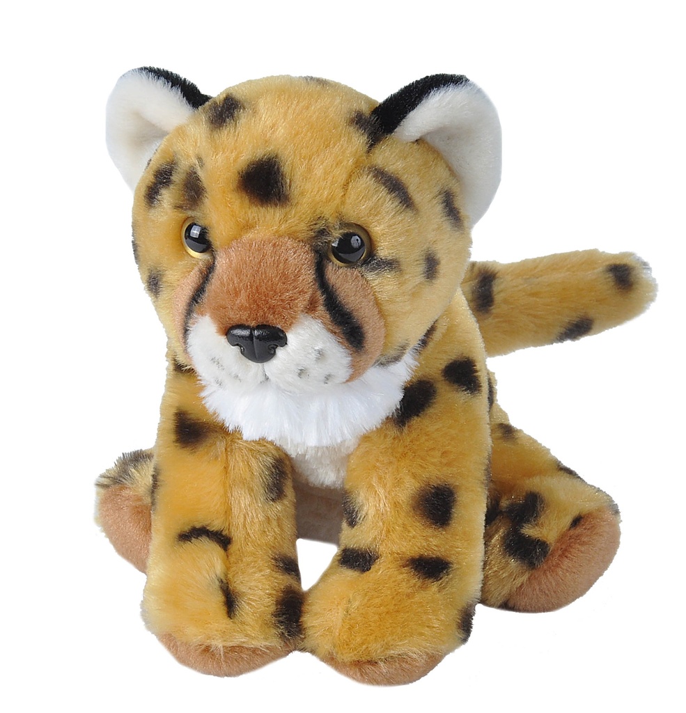 Ck Mini Cheetah Baby