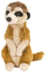 Ck Mini Meerkat 20CM