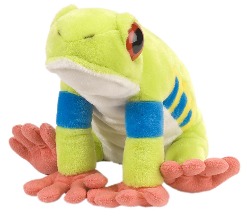 Ck Red Eyed Tree Frog