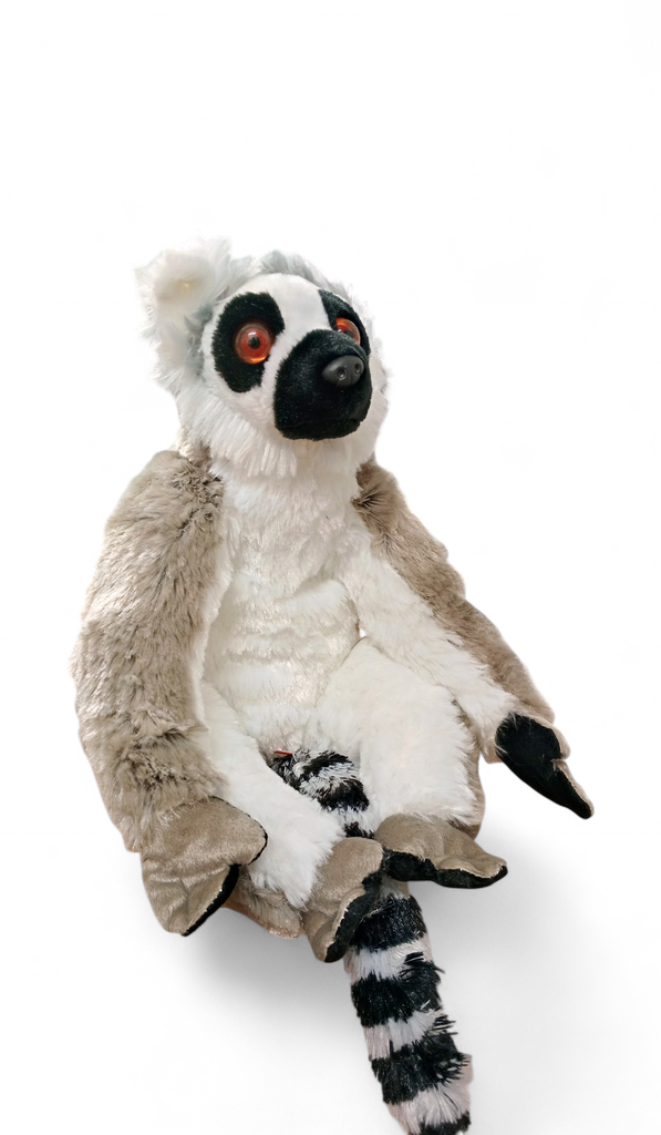 Ck Ring Tailed Lemur