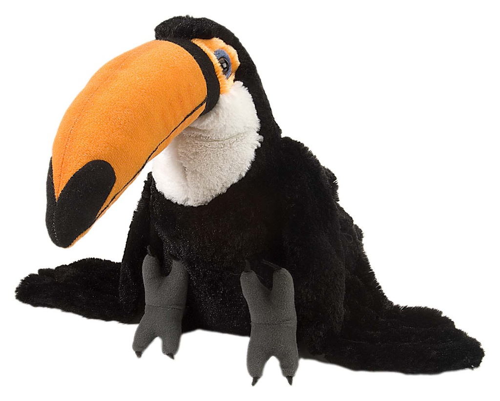 Ck Toco Toucan