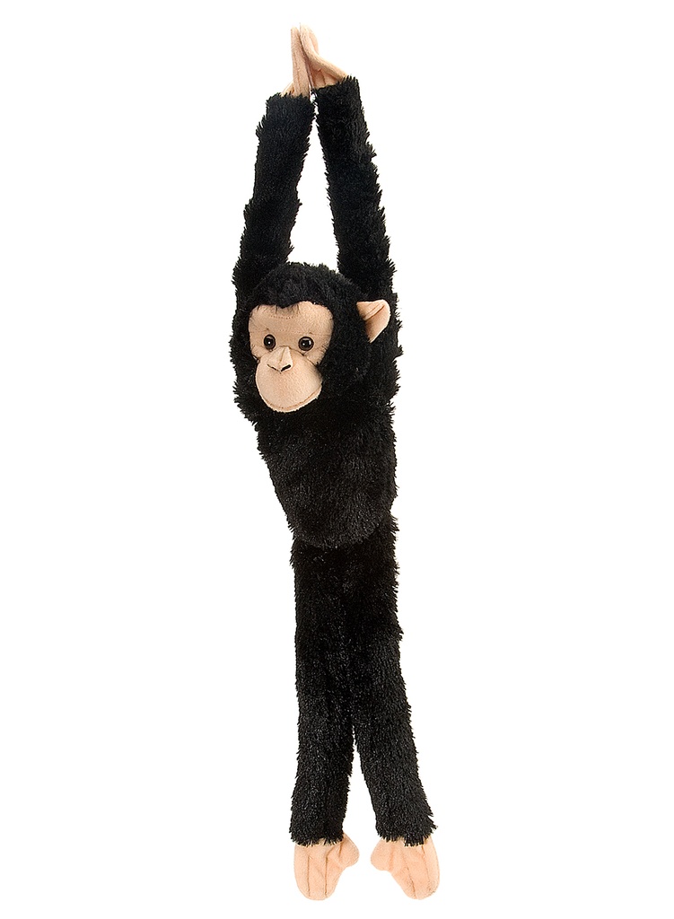 Hanging 20  Chimpanzee