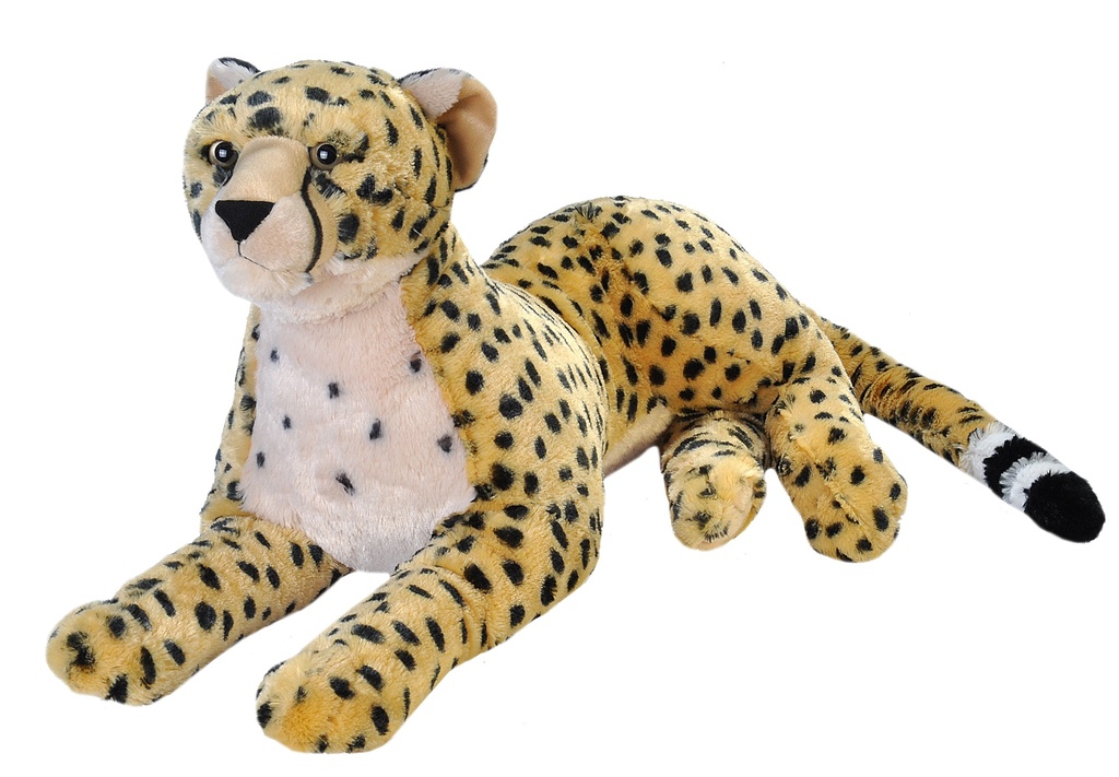Ck-Jumbo Cheetah
