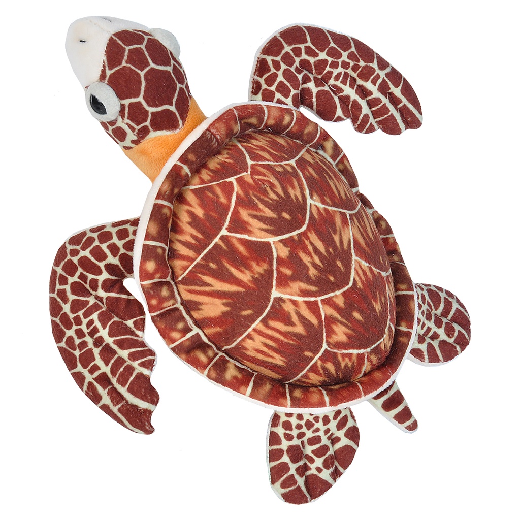 Ck-Mini Hawksbill Sea Turtle 25CM