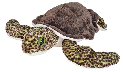 Ck Tortue De Mer Verte