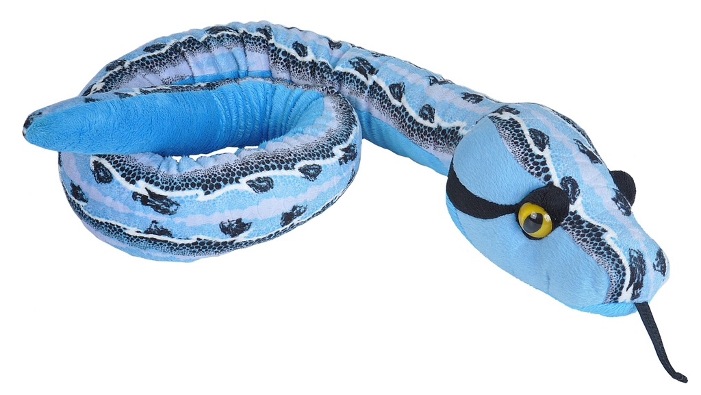Snake Slipstream Blue
