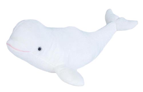 Ck Beluga
