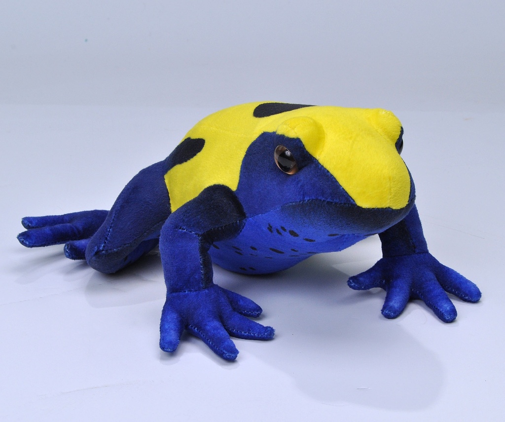 Ck Citronella Dart Frog