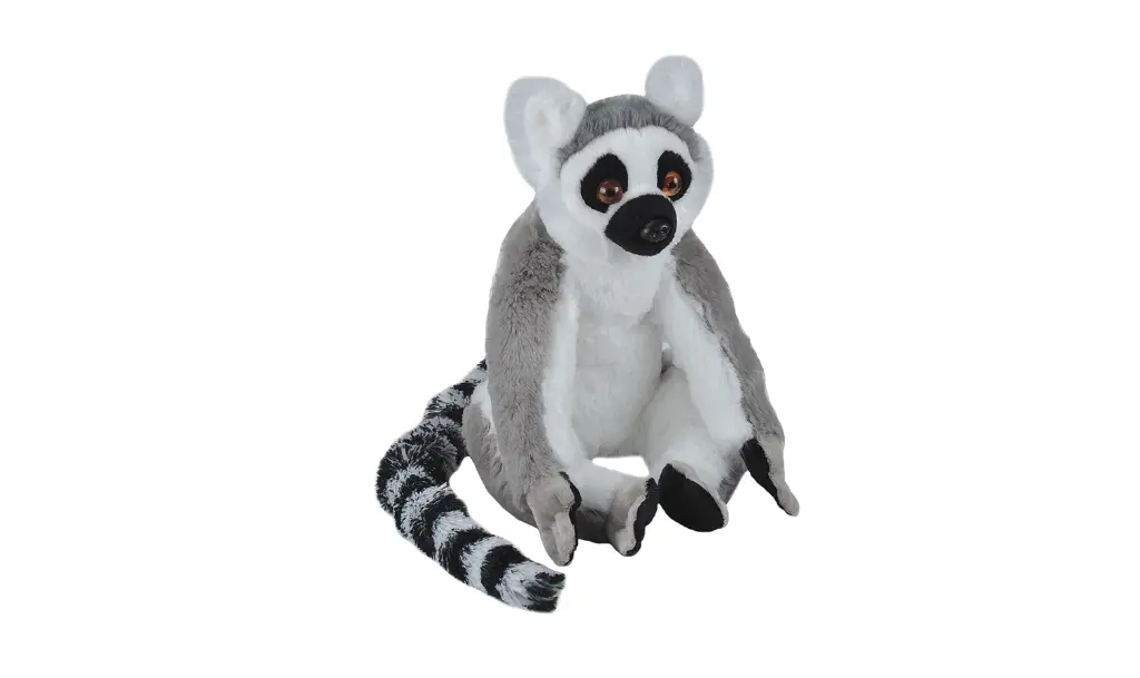 Ck Eco Ring Tailed Lemur