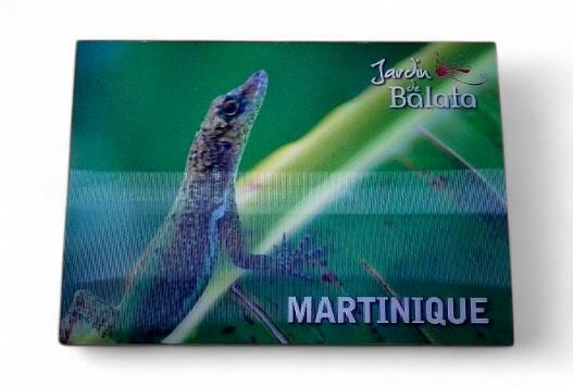[63524] CP 10X15 3D JDB Anoli Sur Feuille BananierMJB3D003