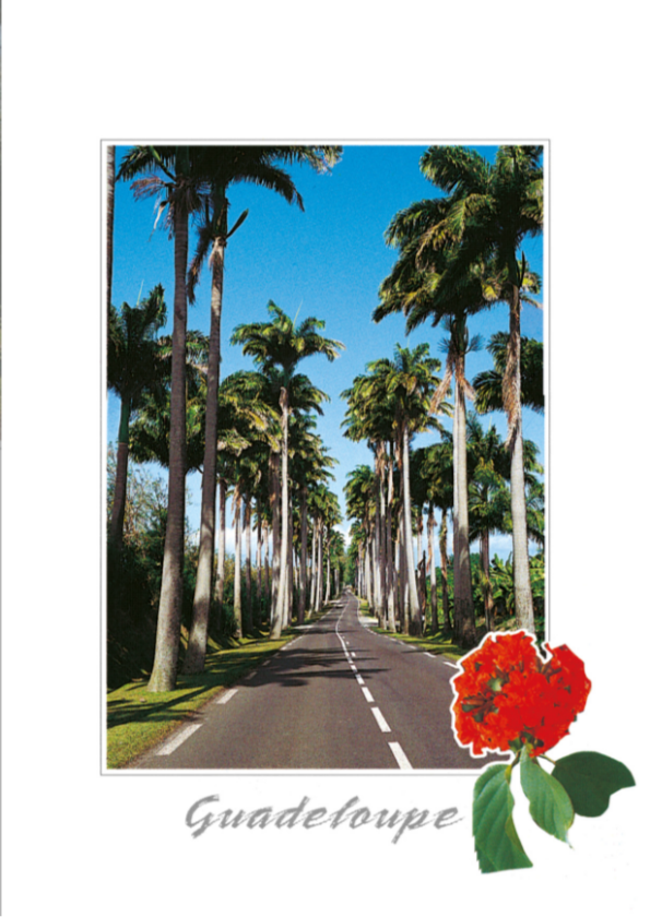 CP 10X15 GP BG18