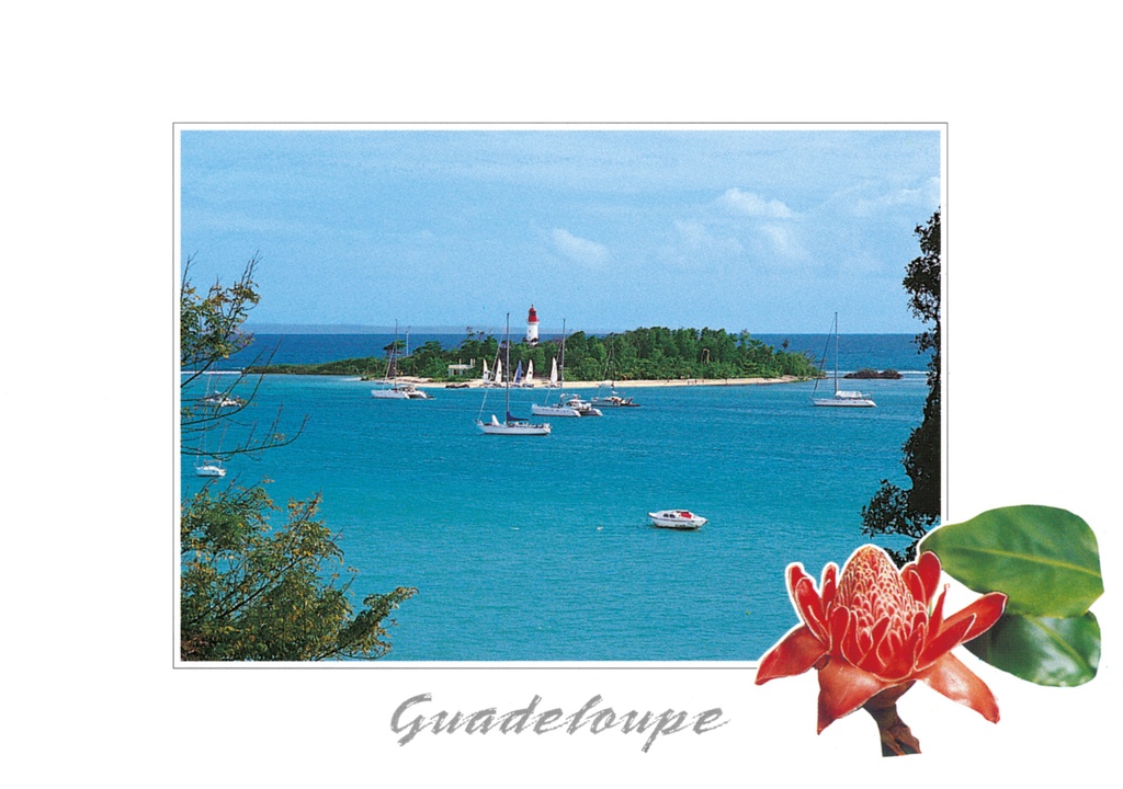 CP 10X15 GP BG19