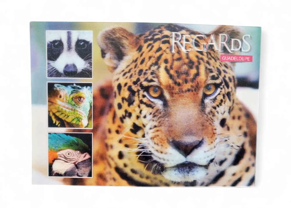 CP 10X15 PDM - Regards
