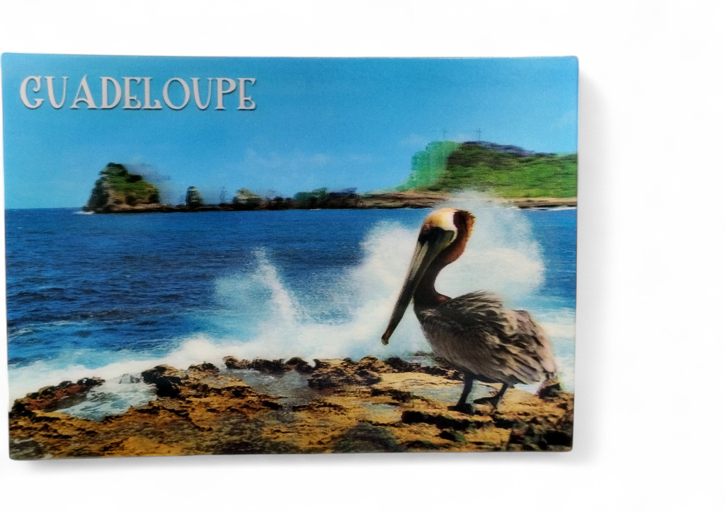 CP 12 X 17 GP 3D Pointe des chateaux G3D11