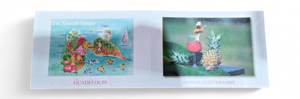 Carte Voeux Dble+ Env