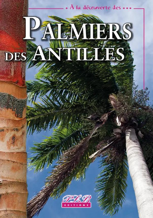 Palmiers Des Antilles