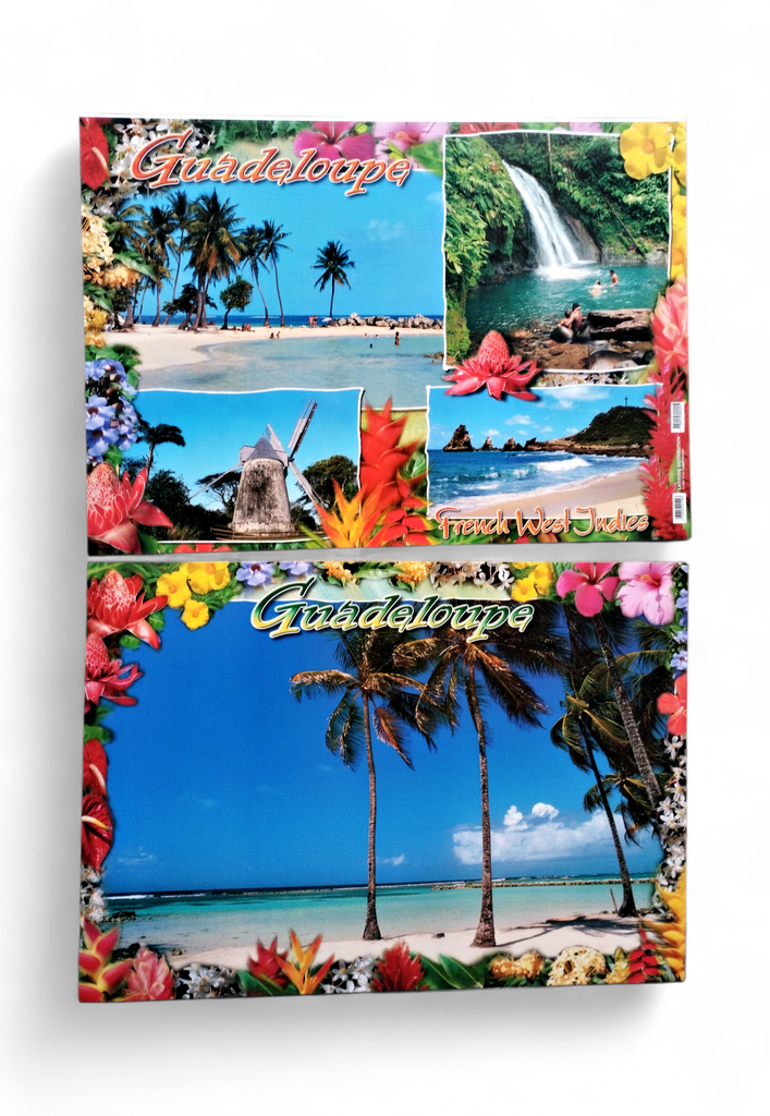 Set de Table GP Plage 4 Cocotiers / 4 Photos Moulin STG51