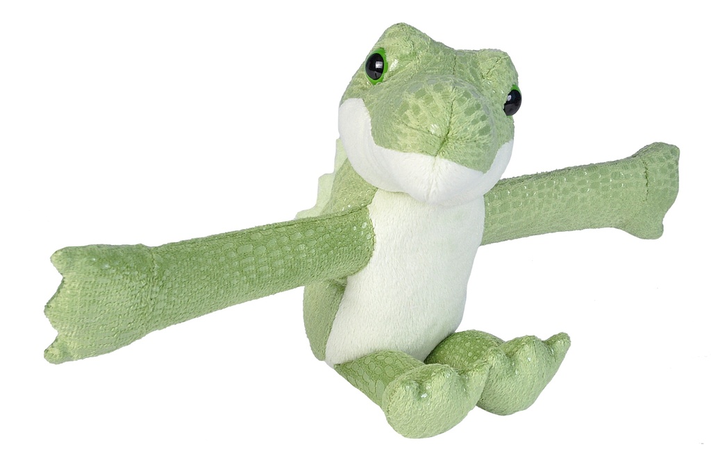 Crocodile Calin