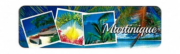 Magnet Epoxy Long Multivue 3 Photos Yoles, Arbre Du Voyageur, Diamant MQ