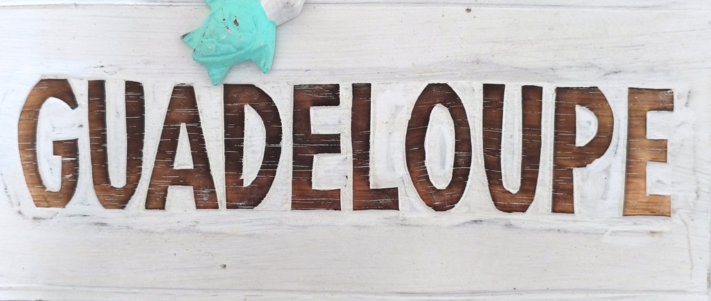 Panneaux en bois 30 Cm Blanc écriture Sculpté