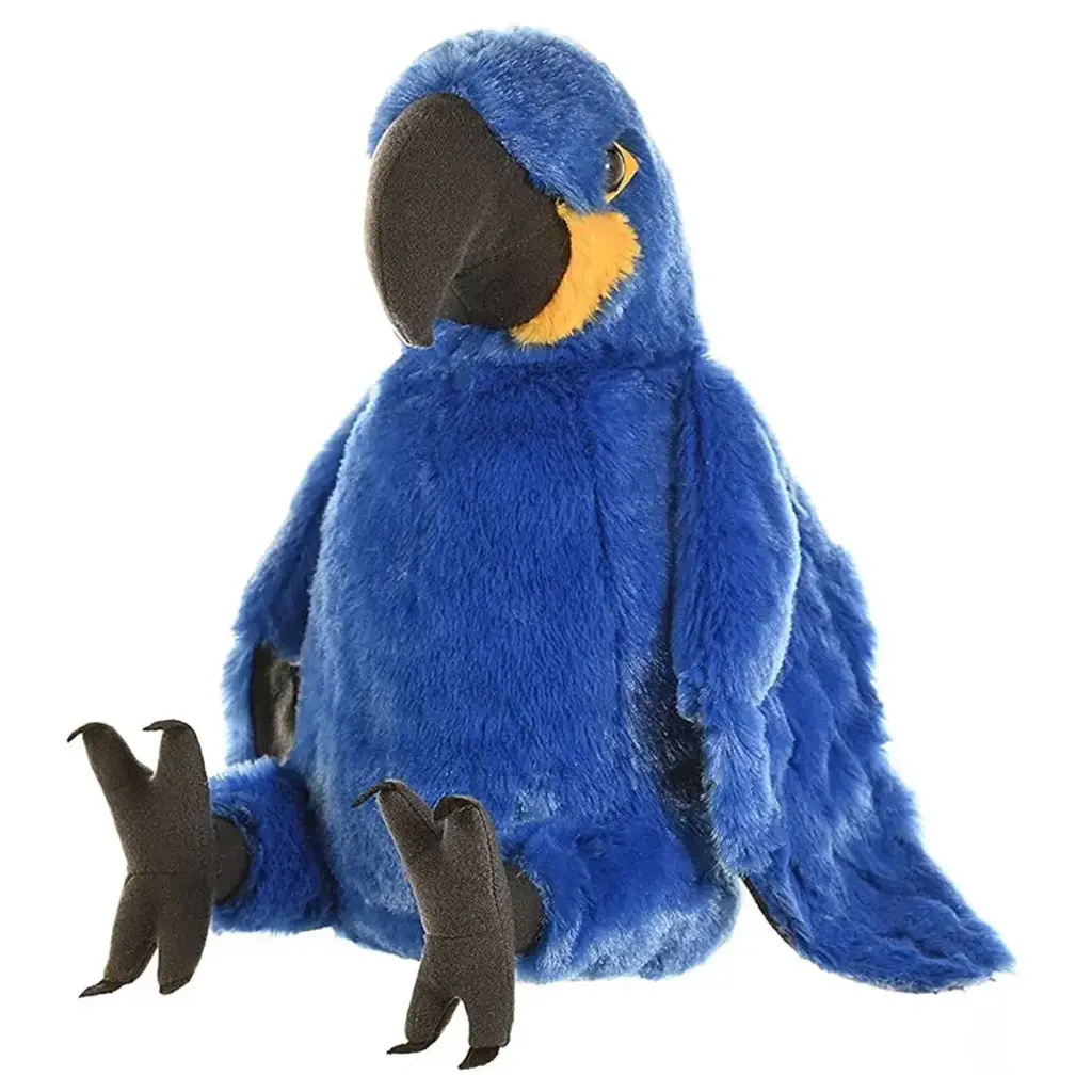 CK-HYACINTH MACAW