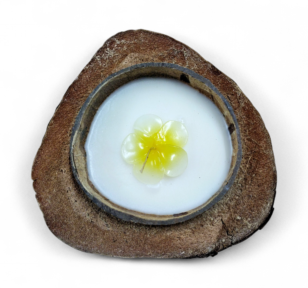 Bougie fleur Demi noix de coco nature