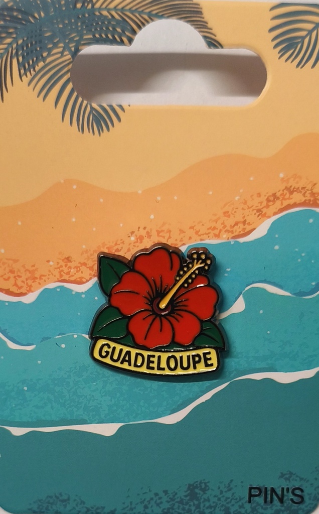 Pin's Hibiscus