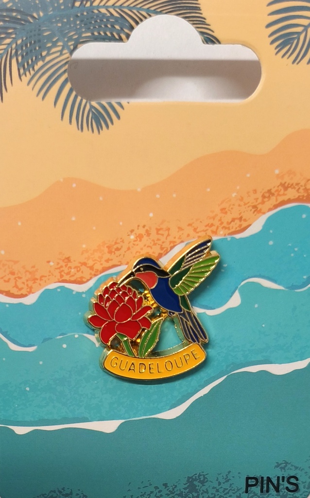 Pin's Colibri