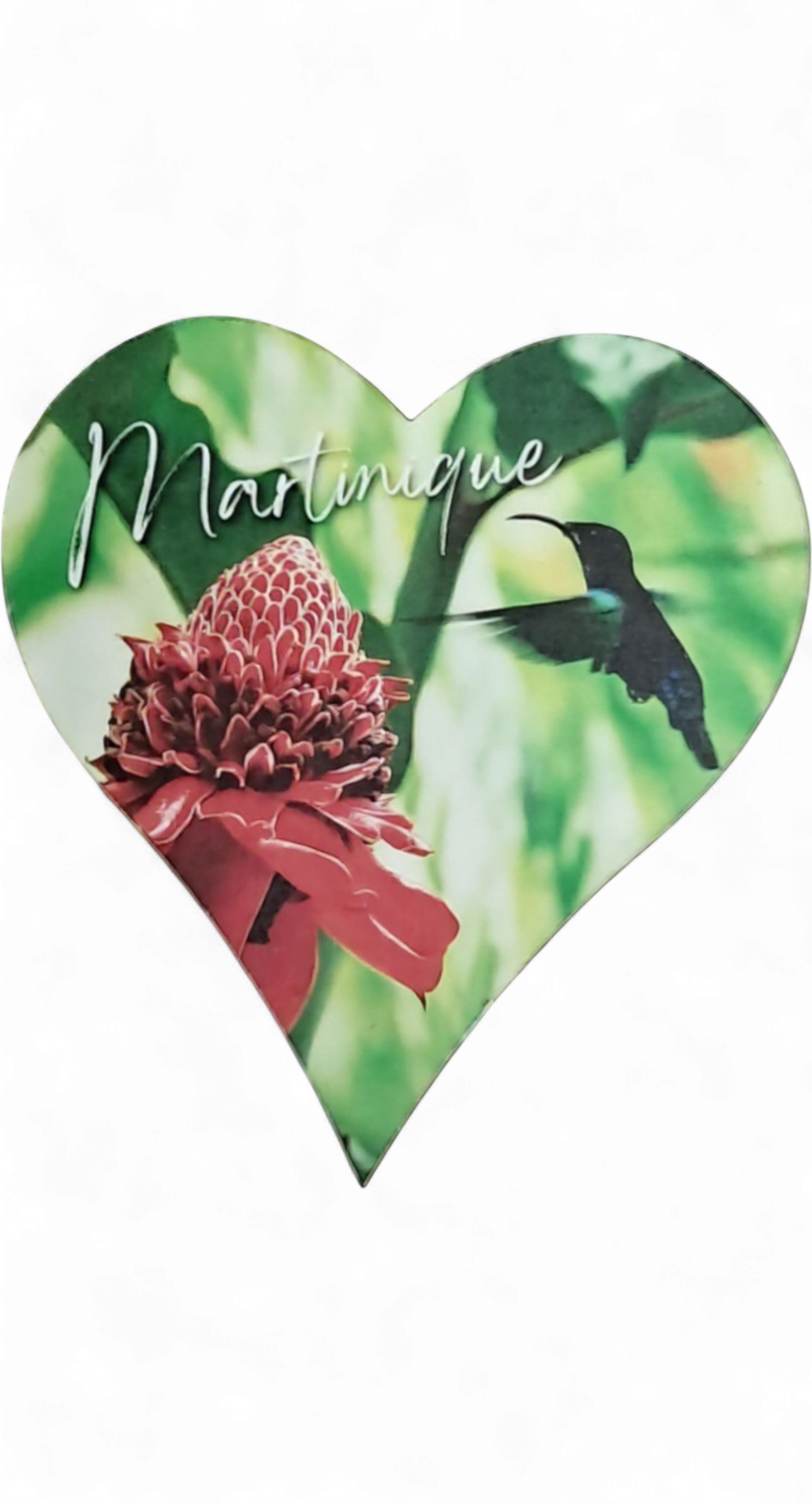 [15346] Magnet MDF Cœur - Rose de Porcelaine et Colibri
