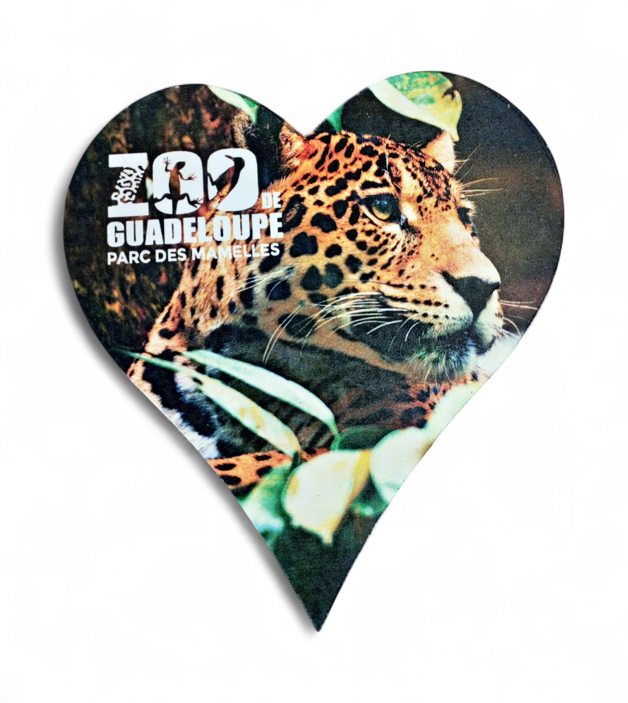 Magnet MDF Cœur -  Jaguar ZDG