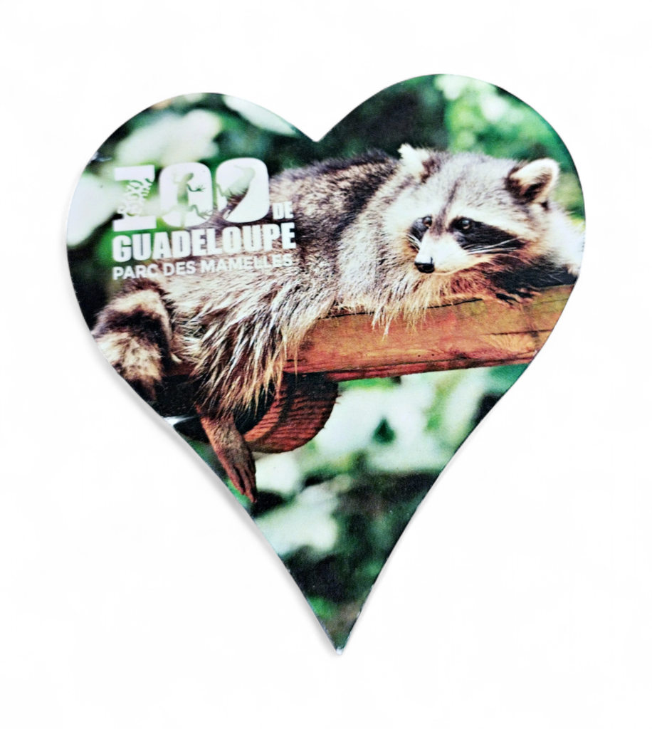 Magnet MDF Cœur - Raccoon ZDG