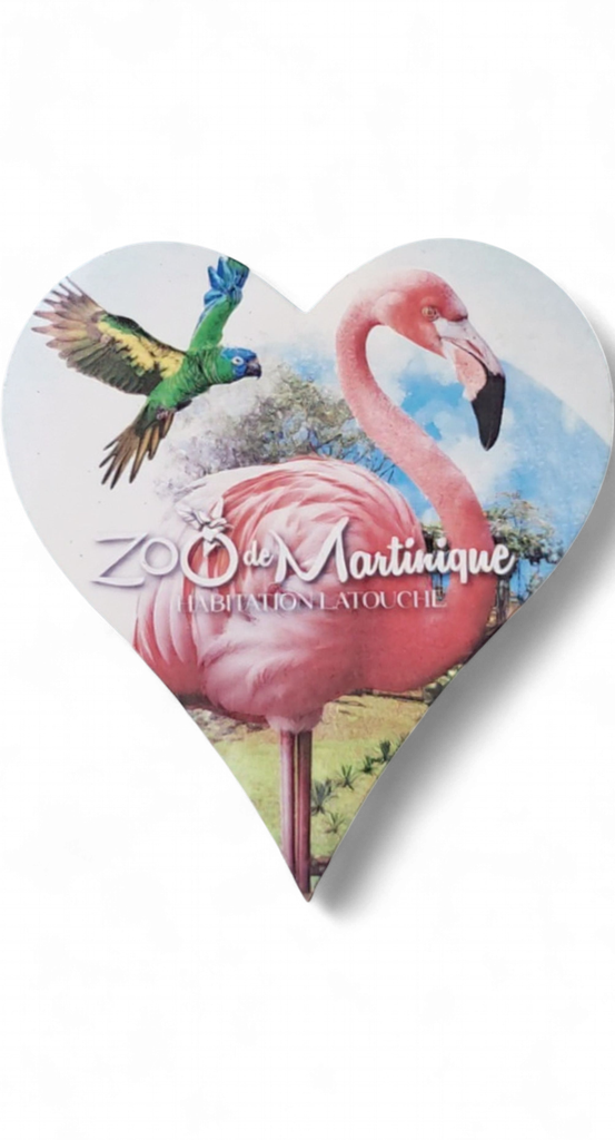 Magnet MDF Cœur - Flammant Rose et Loriquet ZDM