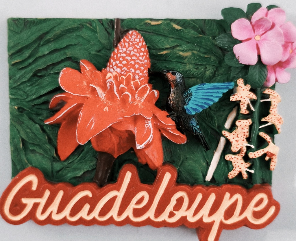 Magnet Résine - Rose de porcelaine et Colibri