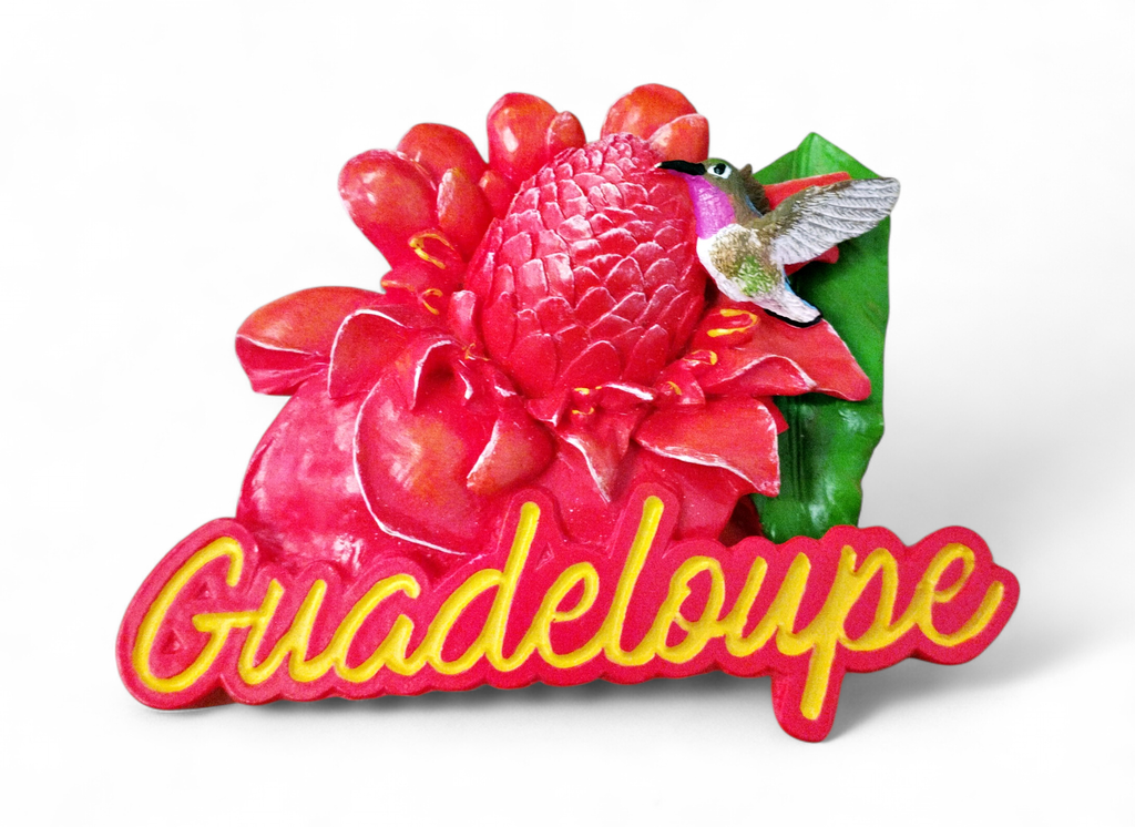 Magnet Résine - Rose de porcelaine et Colibri Version 2