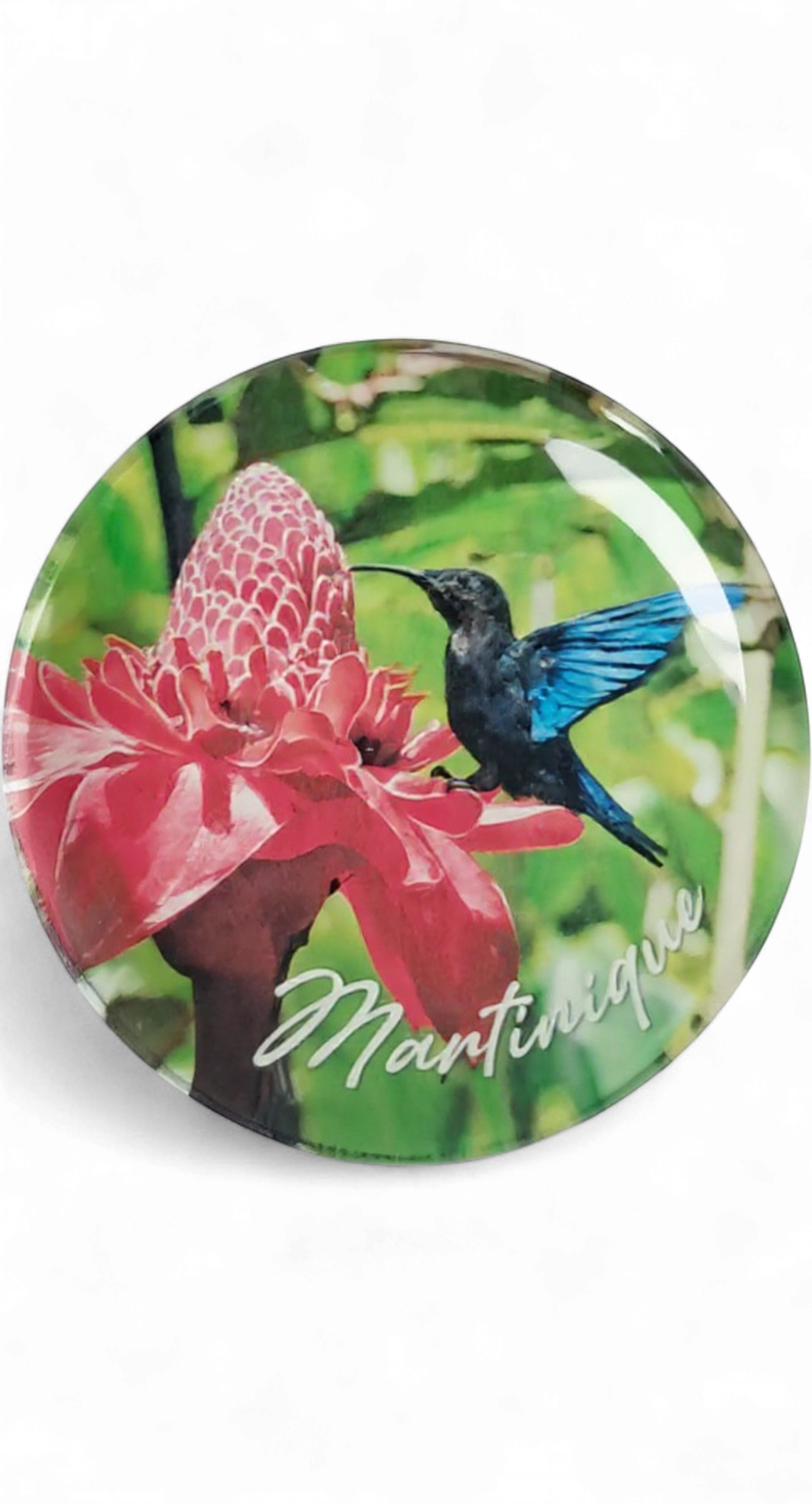 [15382] Magnet Verre - Colibri et Rose de porcelaine