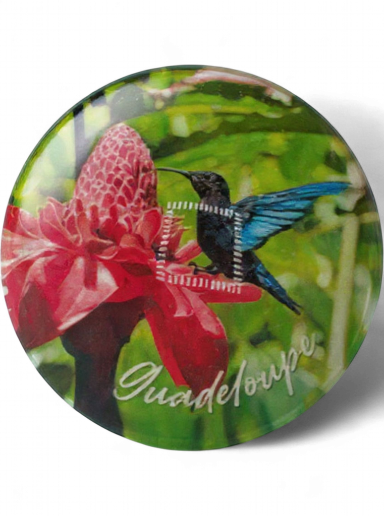 Magnet Verre - Colibri et Rose de porcelaine