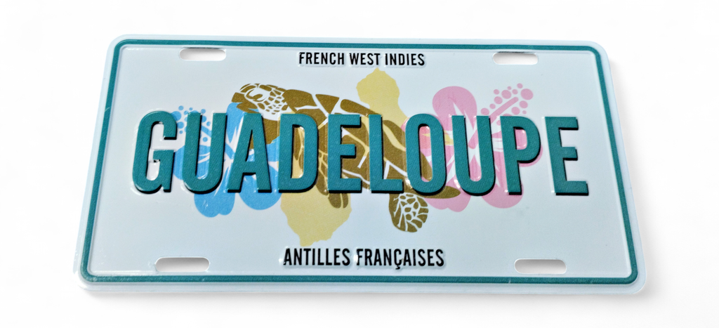 Magnet Plaque  - Tortue de mer