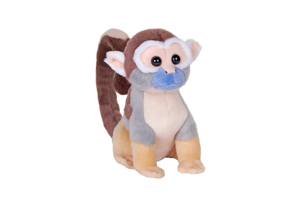 Splendors eco Squirrel Monkey