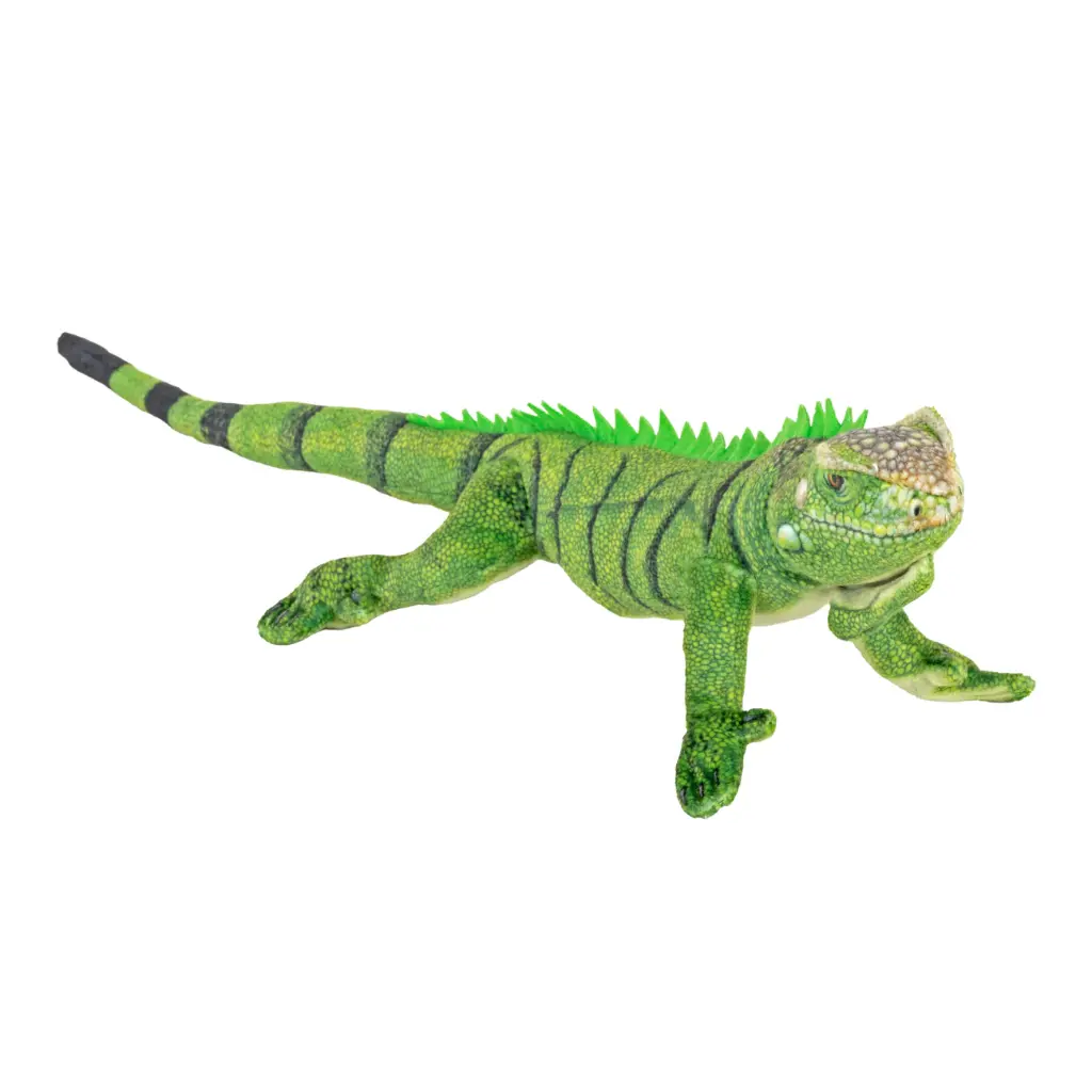 Coilkings Iguana