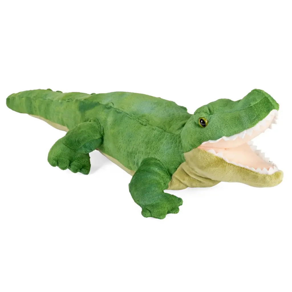 Ck Alligator