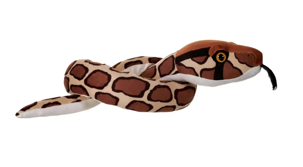Snake-Green Burmese Python