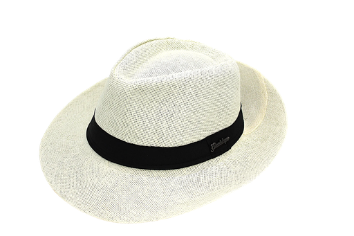 [11008] Chapeau Panama