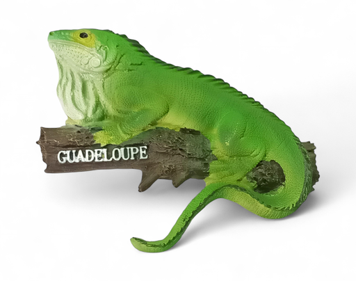 [15002] Magnet Resine Iguane